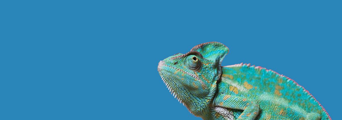 The complete guide to managed IT services for businesses (UK 2026)