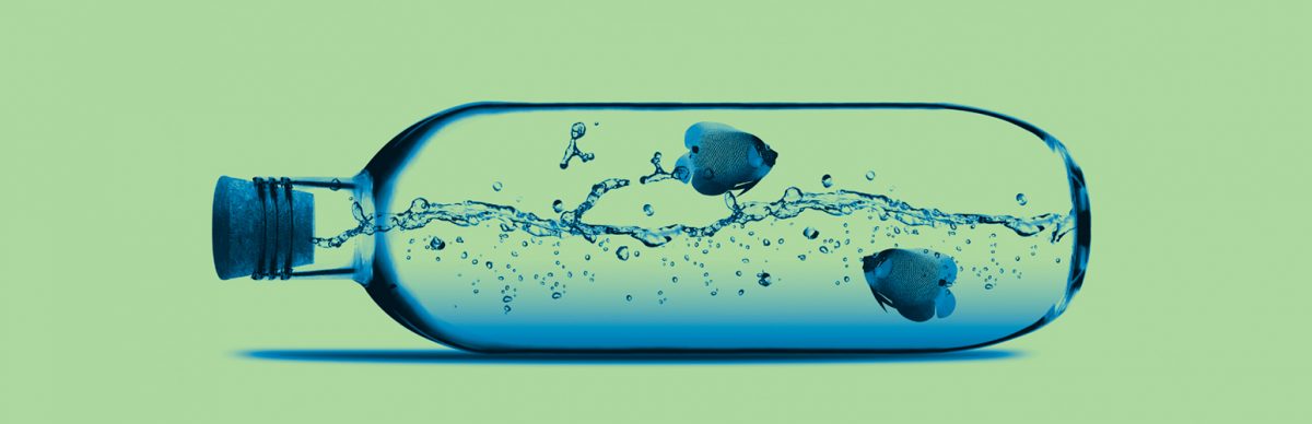 How to introduce AI into your business safely without security risks